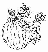 Watermelon Anguria Disegno Wonder Stampare sketch template