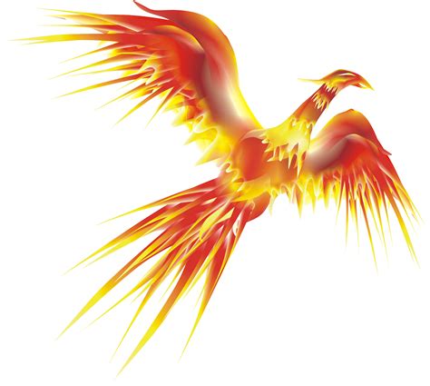 phoenix clipart transparent background phoenix transparent background