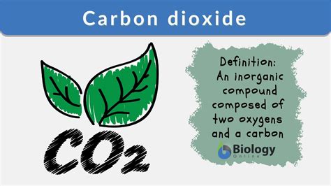 carbon dioxide definition  examples biology  dictionary