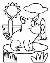 Pig Coloring Pages Crayola Color Sheet Printable Farm Print sketch template
