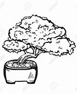 Bonsai Onlinecoloringpages Coloring sketch template