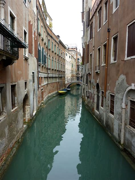 weisenberger world   venice sunday