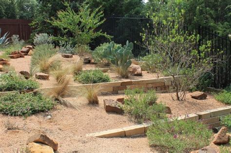 austin native landscaping portfolio terraced texas native plants