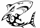 Shark Tattoo Tribal Clipart Silhouette Drawings Sharks Tattoos Line Abstract Cool Draw Awesome Graphics Drawing Clip Head Fish Cliparts Lordy sketch template
