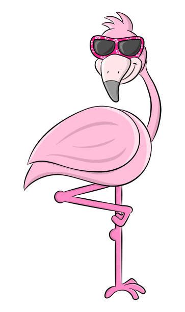pink flamingo sunglasses illustrations royalty free vector graphics