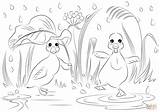 Coloring Ducks Rain Pages Two Supercoloring Paper sketch template