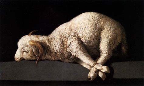 lamb  god sheep droppings