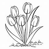 Bunga Gambar Tulip Coloring Drawing Flower Colouring Pages Choose Board Flowers sketch template
