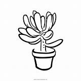 Succulent Potted sketch template