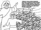 Visvangst Pesca Milagrosa Wonderbaarlijke Maravilhosa Apostelen Jezus Kleurplaten Wonderbare Tekeningen Testament Bijbel Bezoeken Milagres Miraculeuse Peche Pêche Pascua sketch template