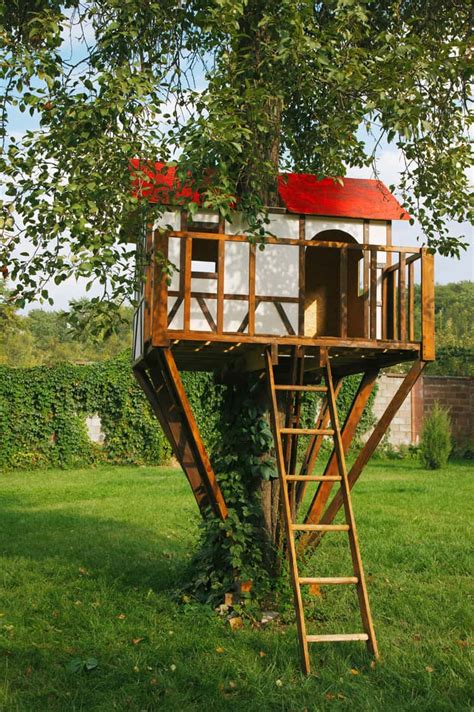 build  treehouse   backyard