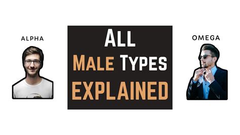 do you lead or follow male personality types explained alpha beta