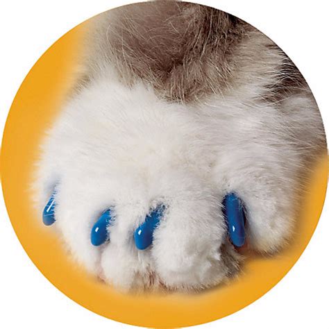 soft paws people  animals