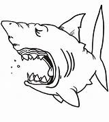 Shark Coloring Requin Drawing Template Printable Sea Dessin Templates Stencil Pages Mouth Coloriage Clipart Cartoon Open Creature Sharks Colouring Cliparts sketch template