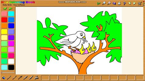 coloring software  kids kea coloring book eps  youtube