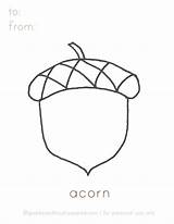 Acorn Coloring Pages Printable Coloringtop 58kb sketch template