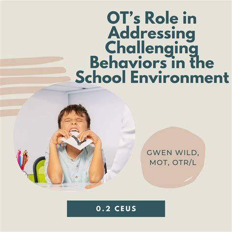 ots role  addressing challenging behaviors   school environment