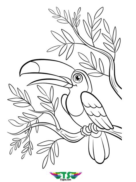 beautiful bird coloring page   tsgoscom