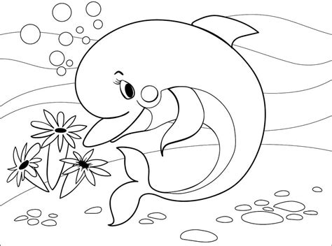 coloring pages  dolphins cute