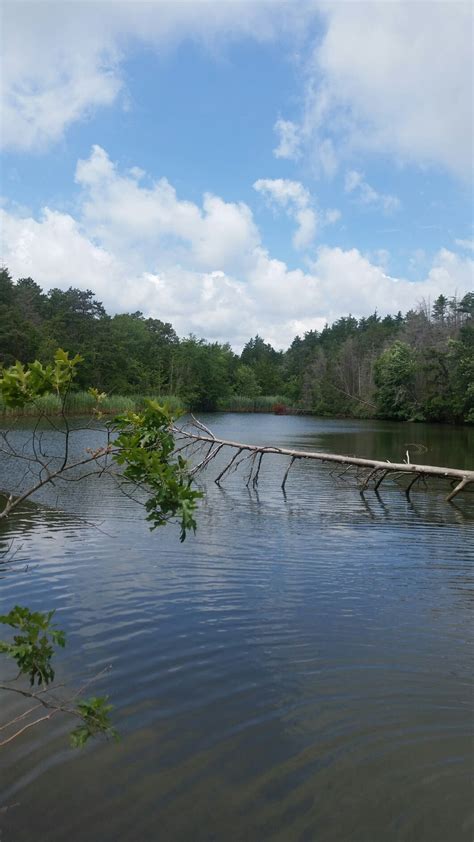 forked river beautiful lacey nj patch