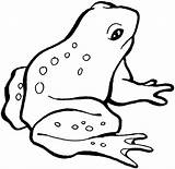 Frogs Frosch Speckled Froglet Hopping Pattern sketch template