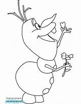 Olaf Coloring Pages Flower Frozen Holding Disneyclips Funstuff sketch template