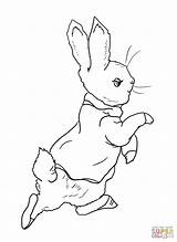Rabbit Peter Coloring Pages Printable Drawing Mr Garden Color Mcgregor Roger Colouring Beatrix Potter Supercoloring Away Going Into Bunny Getdrawings sketch template