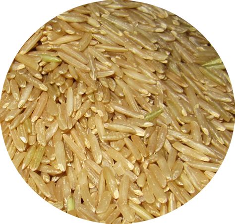 indian khana  easy seasoned brown rice enriched  lentils