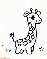 Sketsa Mewarnai Hewan Lucu Jerapah Gajah Binatang Marimewarnai Jirafa Jirafas Terlengkap Sapi Imprimir Kumpulan Utk Berkaki Empat Menggambar Galeri Giraffe sketch template