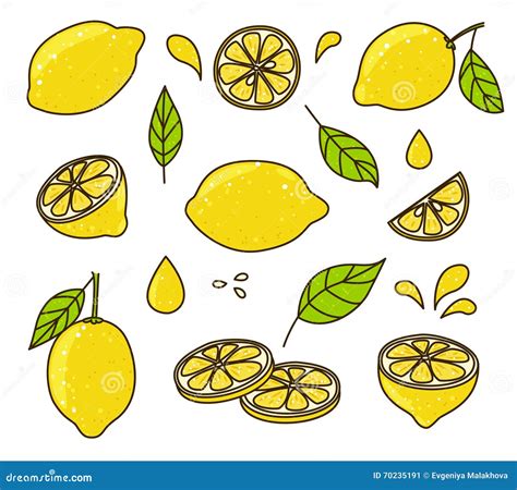 lemon set stock vector illustration  background ripe