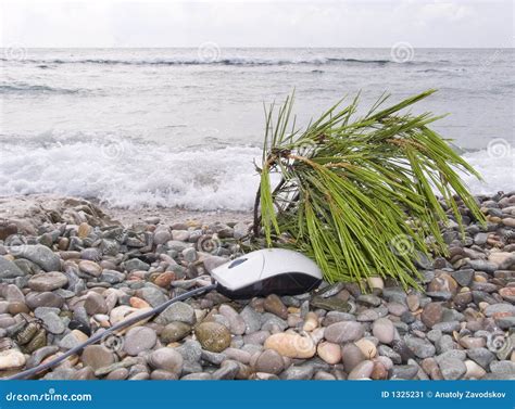 computer mouse   beach stock image image  breaker beach