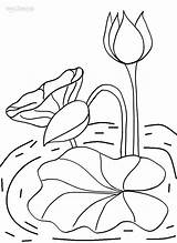 Lily Coloring Pages Pad Printable Pads Flower Kids Lilies Drawing Lotus Floating Leaves Choose Board sketch template