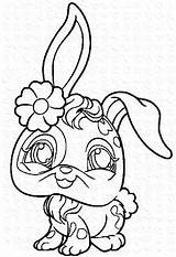 Lapin Petshop Littlest Imprimer Trop Mignon Animaux Bunny Luxueux Danieguto Stumble sketch template