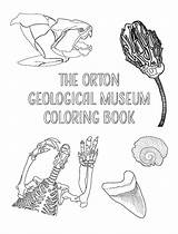 Geological Orton Coloring sketch template