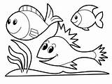 Fish Coloring Pages Printable Coloringme sketch template