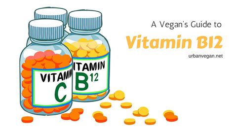 vegans guide  vitamin