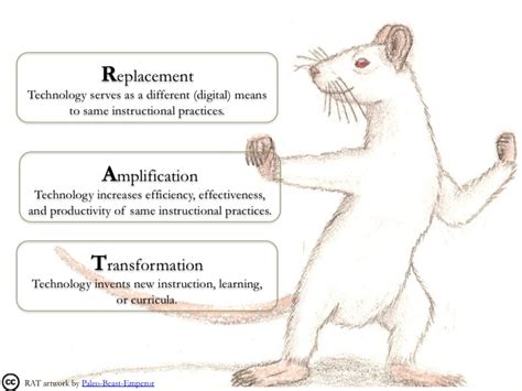 replacement amplification  transformation rat model  international edtech blog