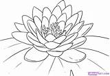 Lotus Flower Coloring Pages Flowers Drawings Outline Lily Drawing Step Tattoo Kids Draw Water Color sketch template