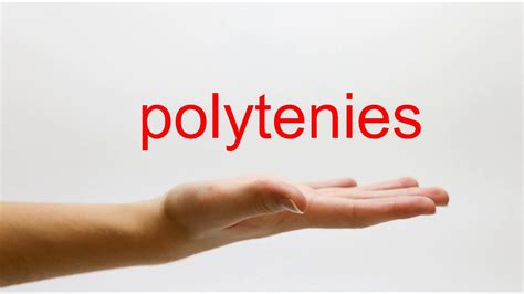 pronounce polytenies american english youtube