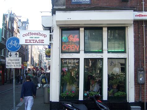 cozy amsterdam coffee shops  tips    visiting