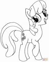 Pony Little Coloring Cheerilee Pages Mlp Color Fluttershy Crafts sketch template