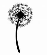Dandelion Drawing Blowing Tattoo Dandelions Flower Wind Graphics Clipart Silhouette Outline Tattoos Designs Flowers Clip Leon Vector Template Puff Cute sketch template