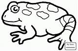 Frog Coloring Pages Toad Colouring Clipart Printable Kids Tree Frogs Cliparts Spots Green Library Clipartmag Dot Amphibian Animal sketch template