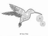 Mandala Coloring Animal Pages Hummingbird sketch template