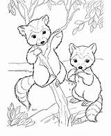 Pages Coloring Woodland Getcolorings sketch template