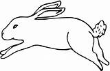 Rabbit Coloring Jack Hare Pages Running Drawing Color Printable Line Clipart Drawings Cartoon Print sketch template