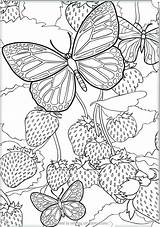Coloring Pages Butterfly Detailed Intricate Printable Getcolorings Color Print Complex Dragon Getdrawings sketch template