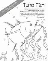 Coloring Tuna Fish Getcolorings 36kb 1275 sketch template