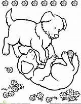 Coloring Puppies Playing Pages Puppy Dogs Colouring Worksheets Dog Kids Printable Animals Animal Puppys sketch template