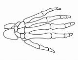 Skeleton Hand Template Halloween Pattern Printable Outline Drawing Tattoo Hands Stencils Patternuniverse Easy Drawings Use Stencil Print Crafts Creating Patterns sketch template